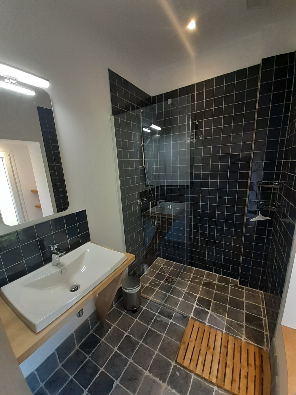 1 salle de douche & toilette séparée