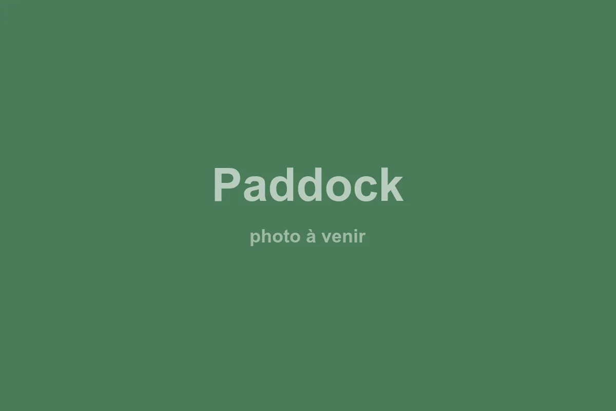 Paddock — vista general