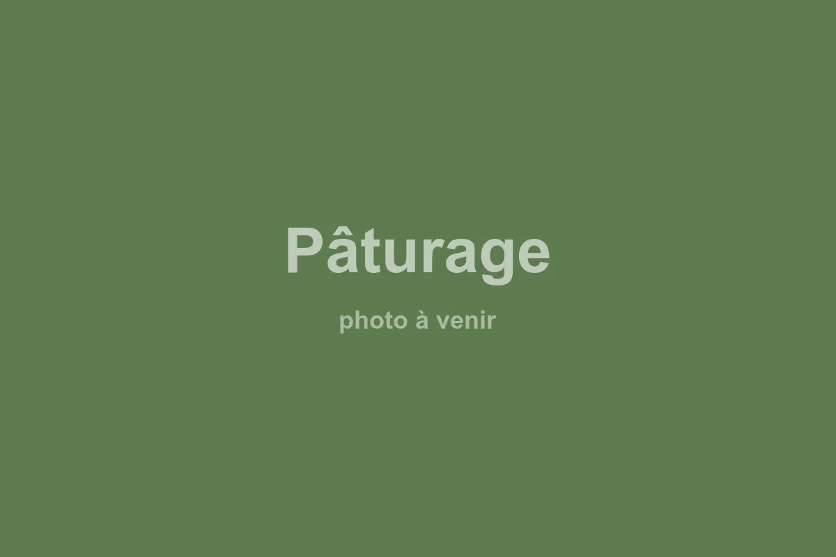 Pastoreo — 1 ha vallado